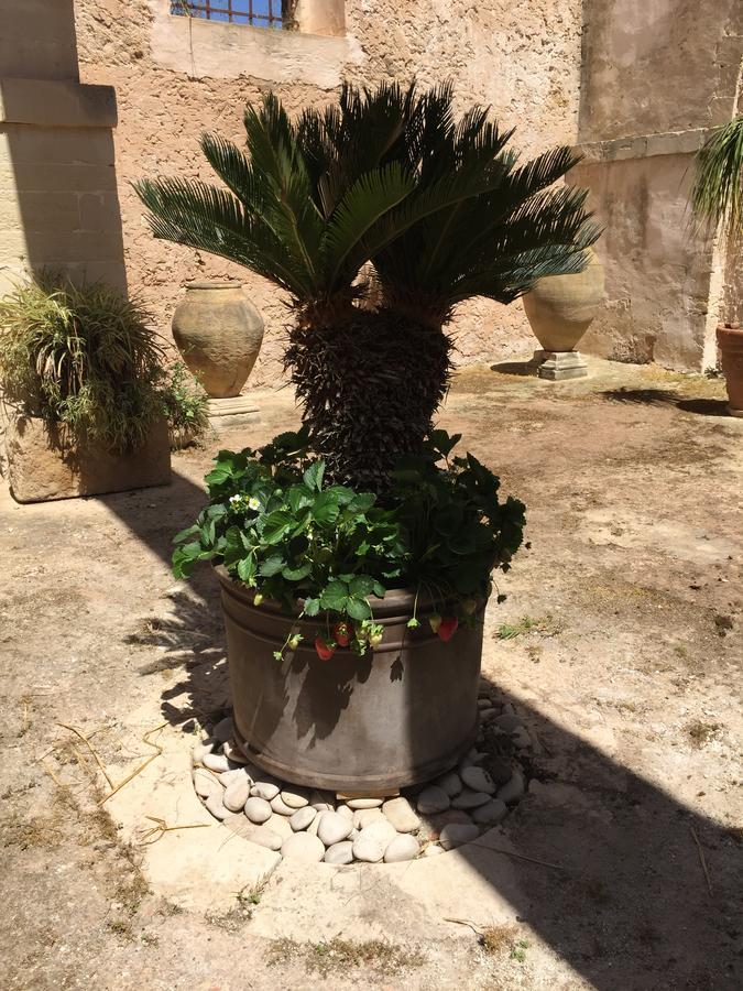 Bed and Breakfast Casale Rocca Fiorita Acate Exterior foto